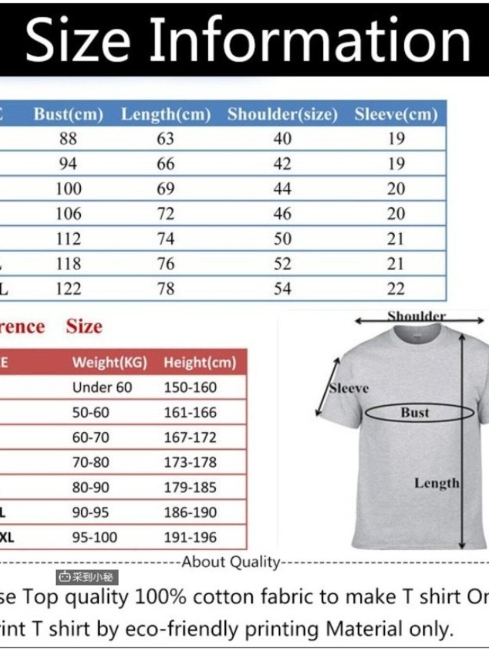 Fungal Network Graphic Tee, Mushroom Biology Diagram Tee - Picture 3 of 4